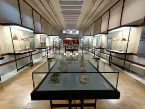 Museo Numantino