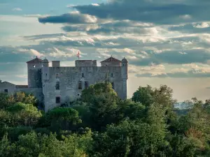 Roure Castle