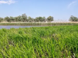 Lower Dniester National Park