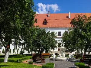 Дубенский замок
