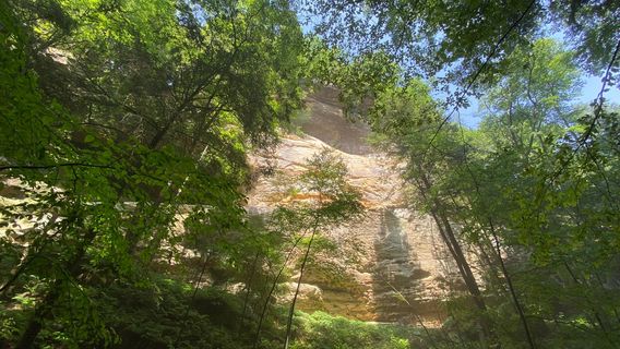 Conkles Hollow State Nature Preserve