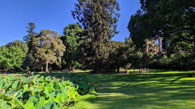 Botanic Park