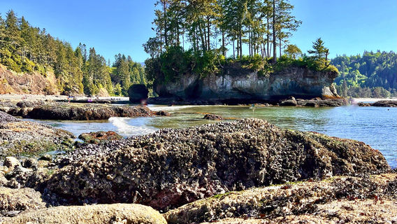 Salt Creek Recreation Area