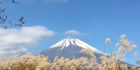十里木高原