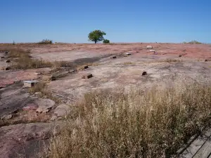 Jeffers Petroglyphs
