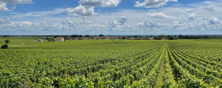 Chemins de Bourgogne