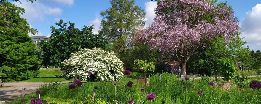 Jardin Botanique Jean-Marie Pelt