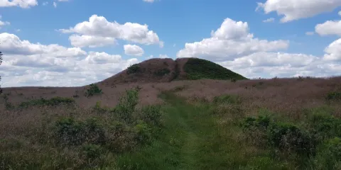 Firehoje Og Kong Rans Hoj
