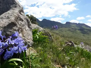 Mount Currie Nature Reserve Kokstad