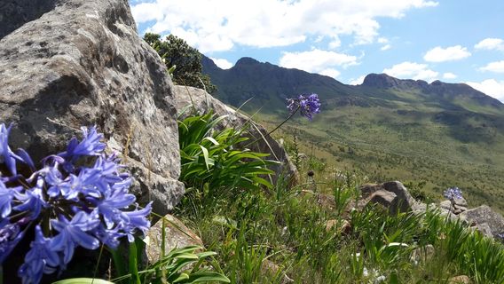 Mount Currie Nature Reserve