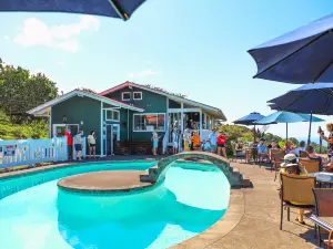 Heavenly Hawaiian Kona Coffee Farm Tours