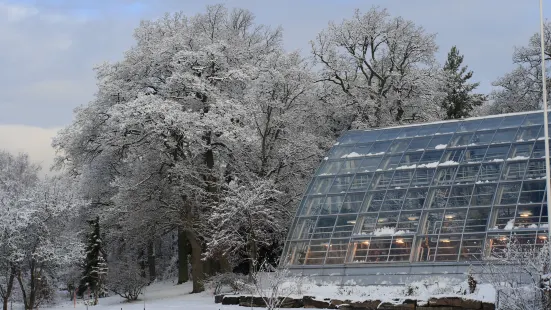 Botanic Garden of University of Turku