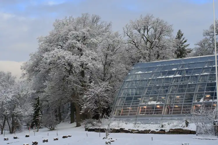 Hotel dekat Botanic Garden of Turku