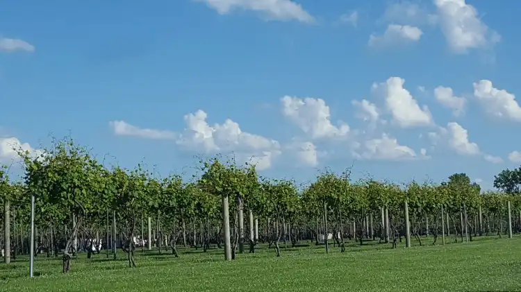 Hotels in Jackson County