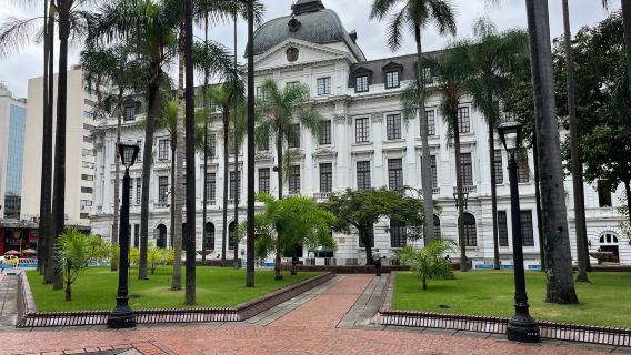 Plaza de Cayzedo