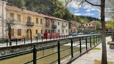 Florina
