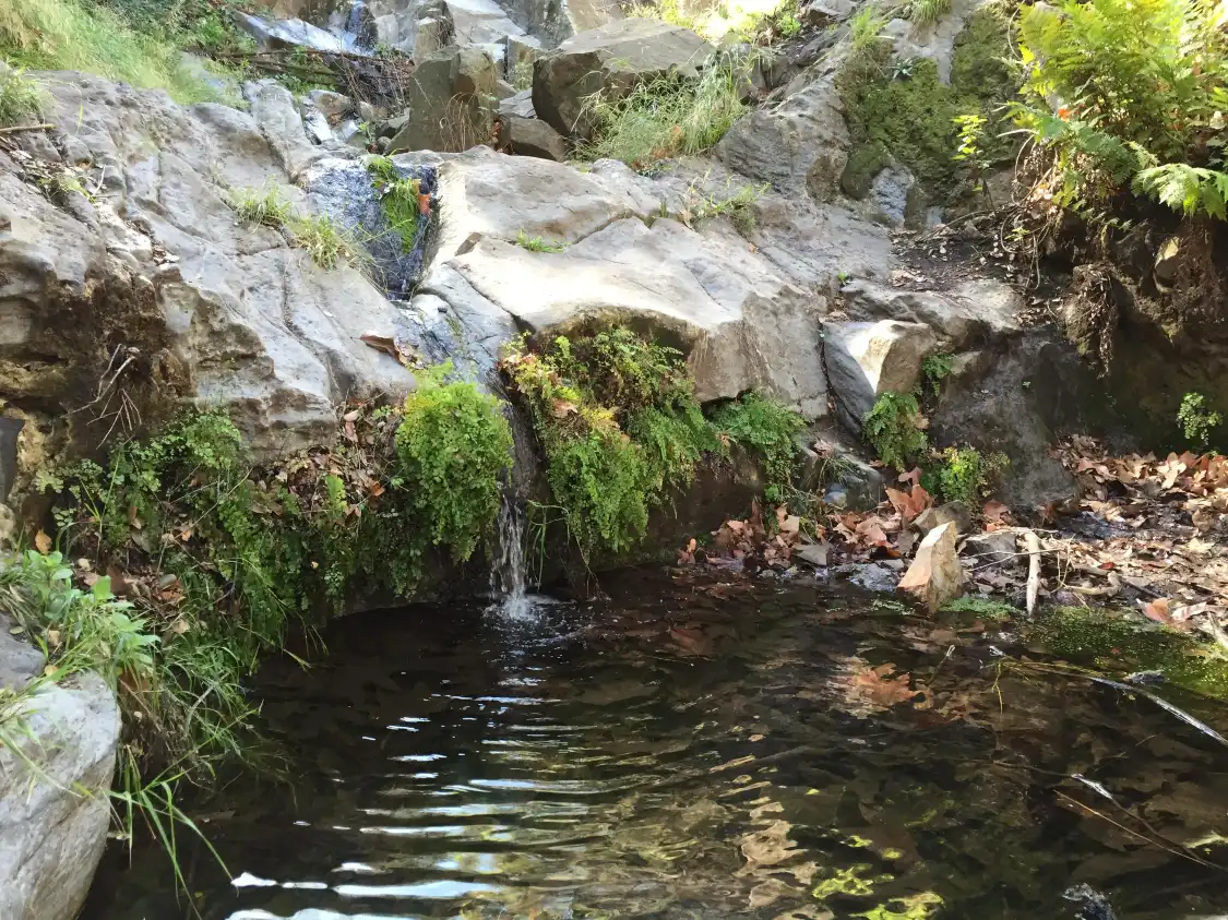 Hotels near Sycamore Canyon Falls