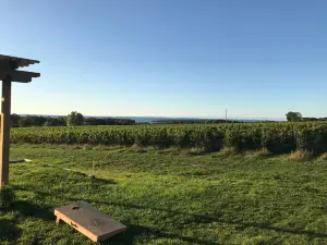 Bonobo Winery