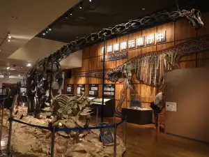 Tamba Dinosaurs Fossil Studio Chitan Museum