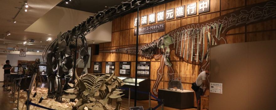 Tamba Dinosaurs Fossil Studio Chitan Museum