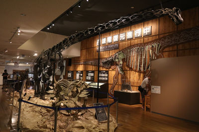 Tamba Dinosaurs Fossil Studio Chitan Museum