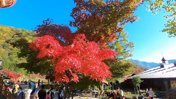 Shirakabadaira Station