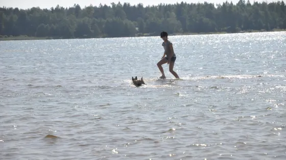 Herrainpaivat Beach