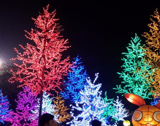 普禾加多 自由行套票