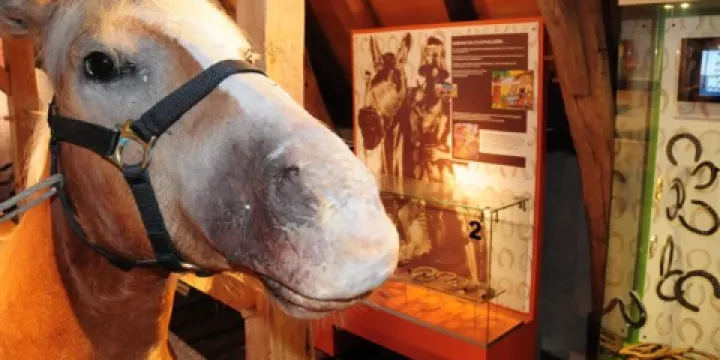 Museumsmederij de Hoefhamer