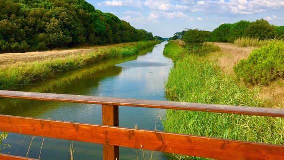 Oasi WWF di Macchiagrande