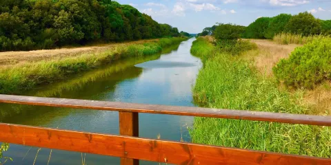 Oasi di Macchiagrande