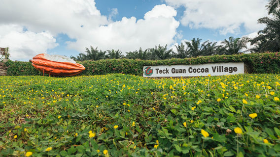 Teck Guan Cocoa Village & Tawau Cocoa Cafe