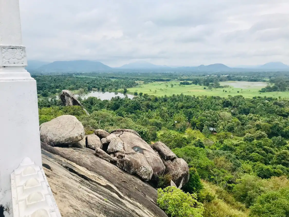 Hotels near Ederagala Wana Senasuna