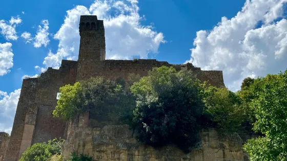 Rocca Aldobrandesca