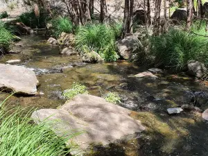 Moss Garden