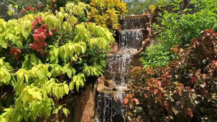 Hotels near Butterfly Paradise