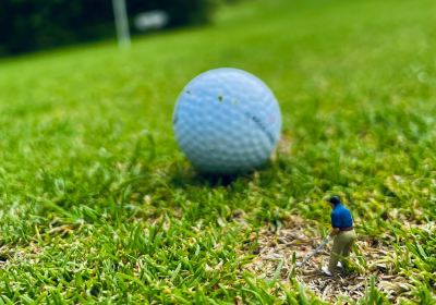 Shortgolf Cadzand-Bad