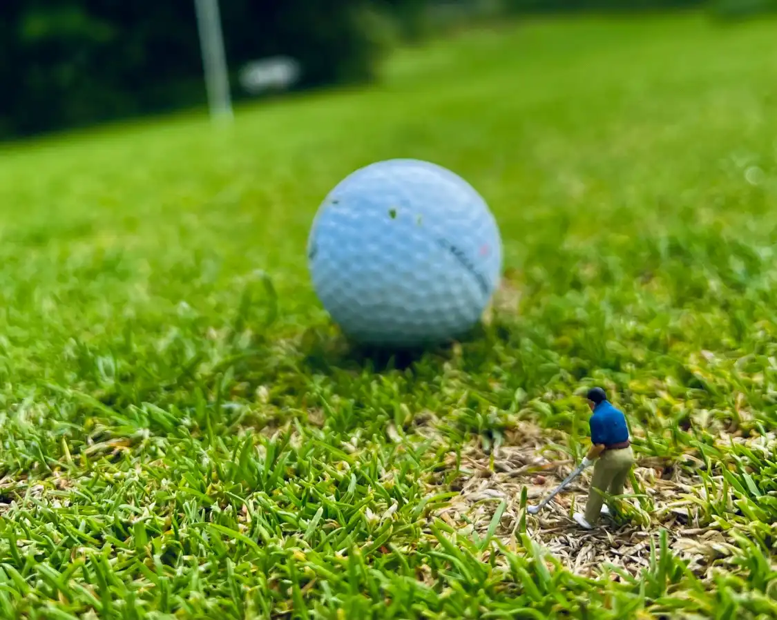 Hotels near Shortgolf Cadzand-Bad