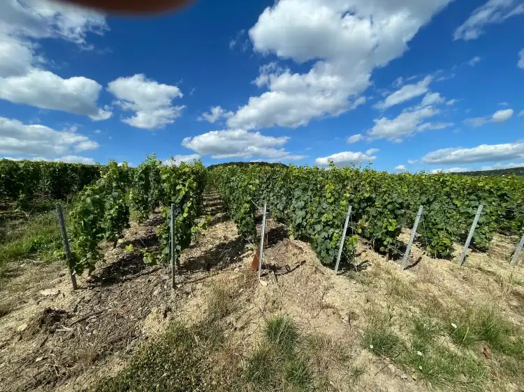 Hotels in Champagne-Ardenne