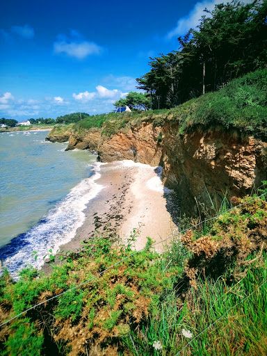 Beach Of Loscolo