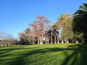 Parque Peralillo