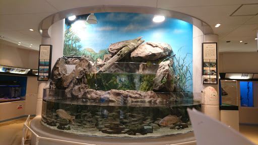 Sumie Family Aquarium