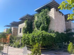 Van Kedisi Evi