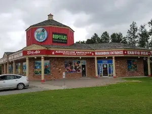 Big Al's Aquarium Supercentres - Whitby