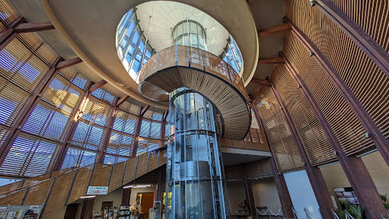 Uenohara Jomon Forest