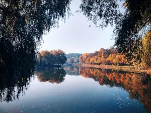 Park Podosʹkoho