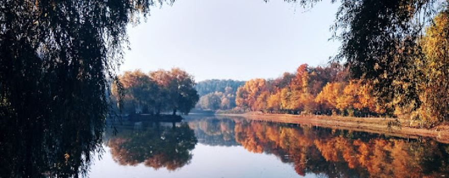 Park Podosʹkoho