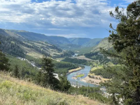 Yellowstone River Outfitters