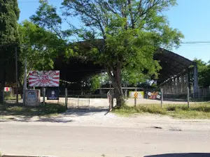 T. C. Star Arena