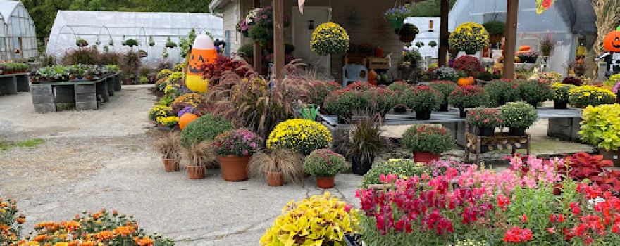 Roan Mountain Lawn & Garden